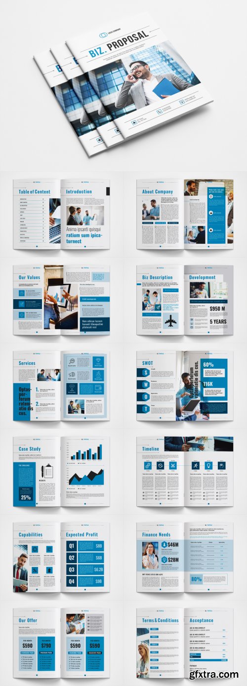 Business Proposal Layout with Blue Accents 362694894