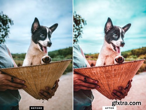 CreativeMarket - 10 Paradise Lightroom Mobile Presets 5143083