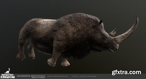 Woolly Rhino