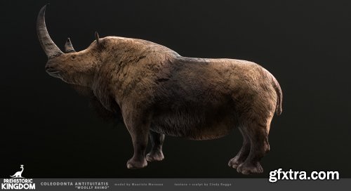 Woolly Rhino