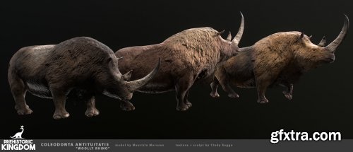 Woolly Rhino