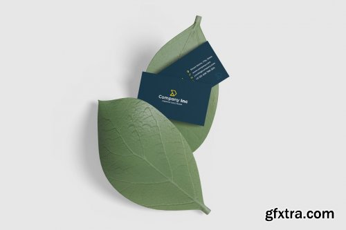 CreativeMarket - Minimalist Business Card Mockup 4924317