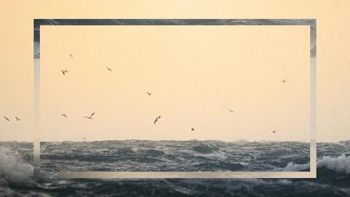 Flock of seagull flying over Isle of Jersey, Channel Islands - 2045248