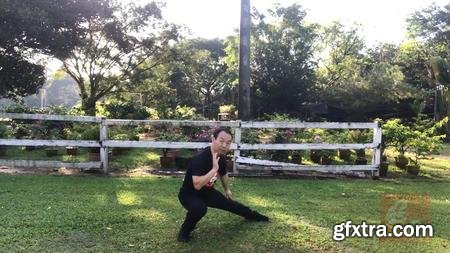 Authentic Fighting Tai Chi-Chen New Frame Routine (XinJia) 1