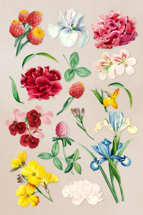 Colorful flower set on a beige background illustration - 2090512