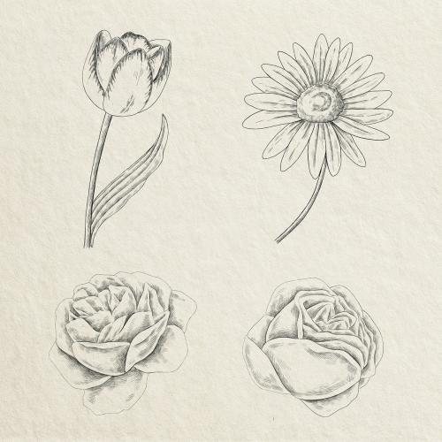 Vintage flower drawing set illustration mockup - 2091298