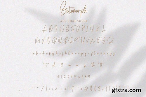 Ectomorph Elegant Signature Font