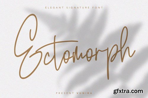 Ectomorph Elegant Signature Font