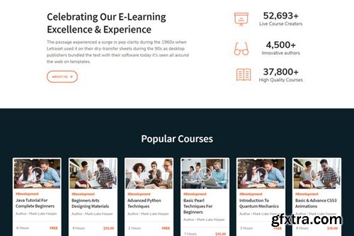 ThemeForest - LearnKit v1.0 - e-Learning Elementor Template Kit - 27925479