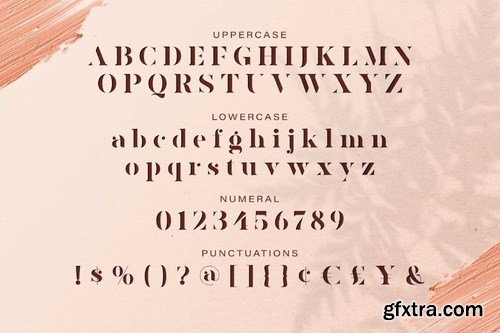 AVONE - Stylish Serif