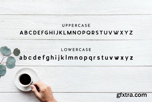 LYNCER - Modern and minimalis font