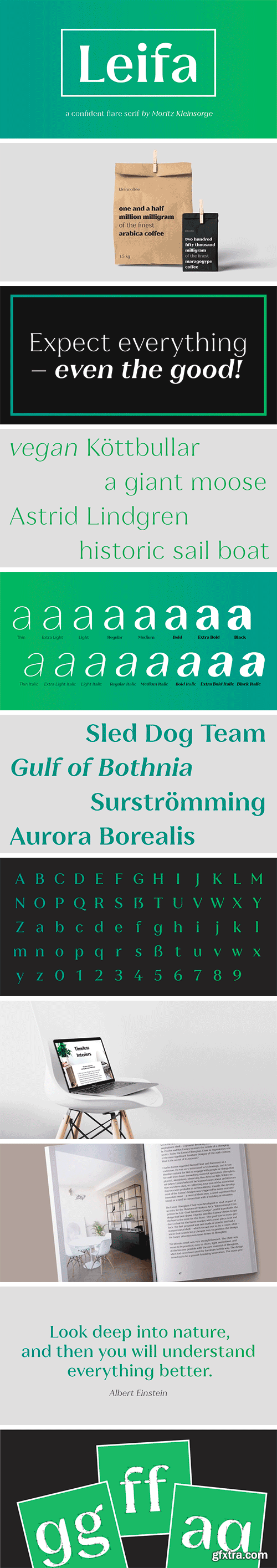 Leifa Font Family