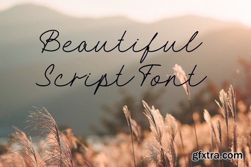 Hellena Script Font