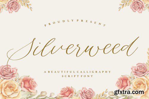 Silverweed - Elegant Script Font