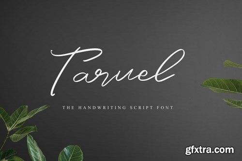 Taruel - The Handwriting Script Font