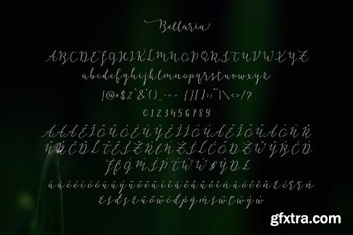 Bellaria Script 4 Styles