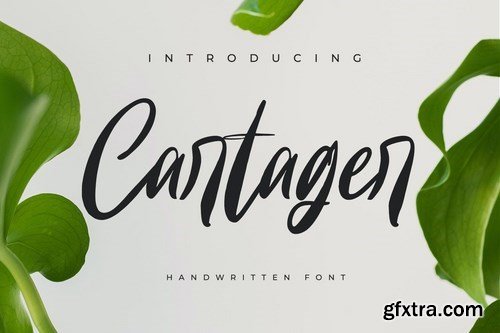 Cartager Modern Handwritten Font