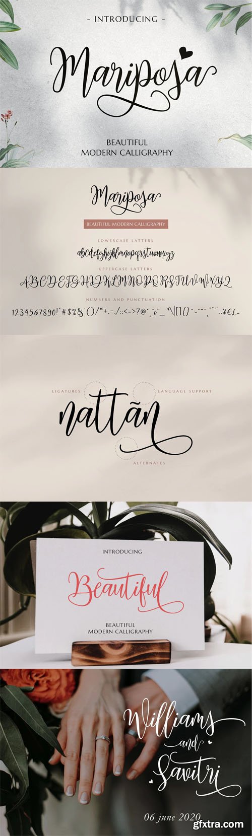 Mariposa - Beautiful Modern Calligraphy