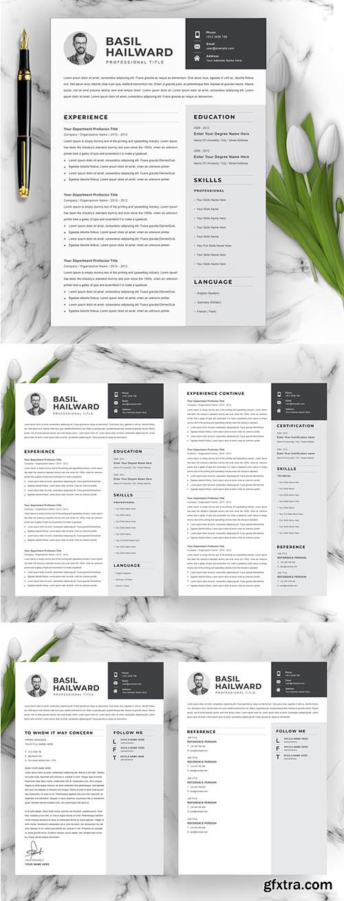 Professional Resume Cv Layout