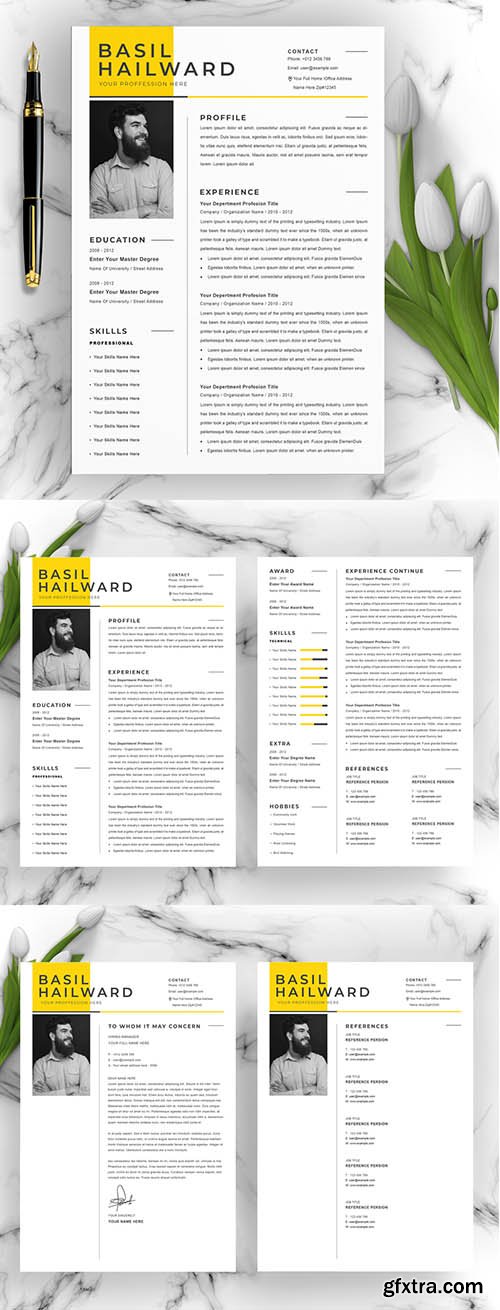 Professional Resume Cv Layout