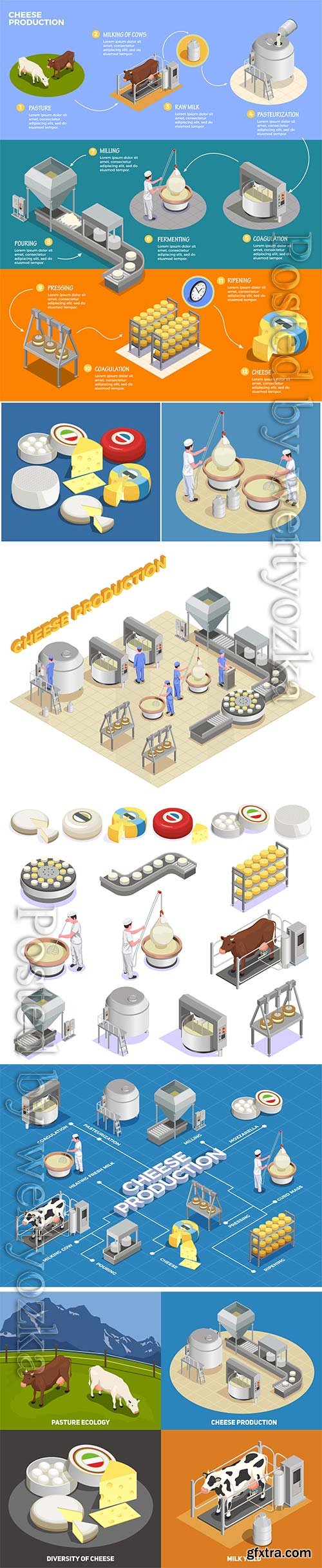 Isometric cheese production illustrates the process of milk yield