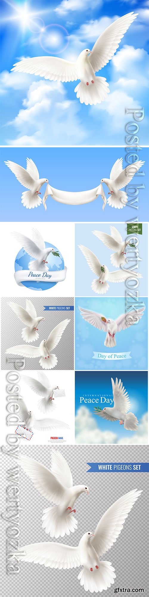 White pigeons vector set