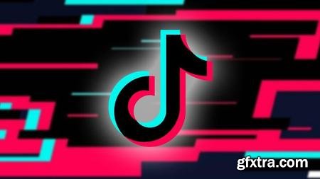 Beginner Course for TikTok Marketing