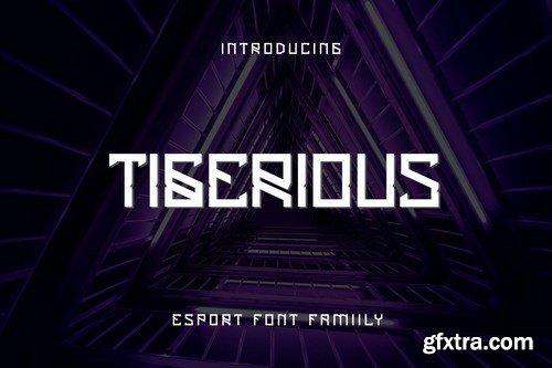 Tigerious - Modern Sport Font DR