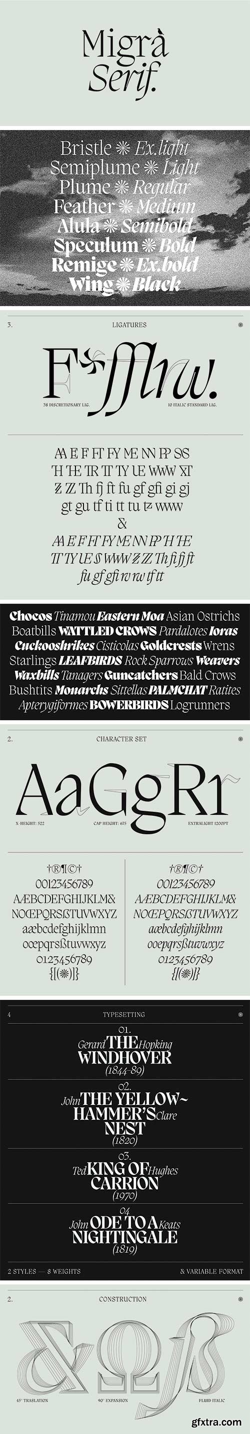 Migra Font Family