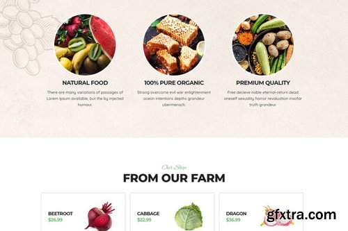 ThemeForest - OrgaKit v1.0 - Organic Farm Elementor Template Kit - 28194114