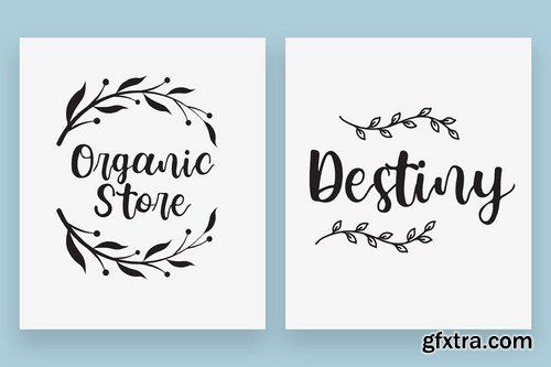 Feminine Script Font