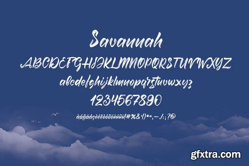 Savannah Brush Script Font