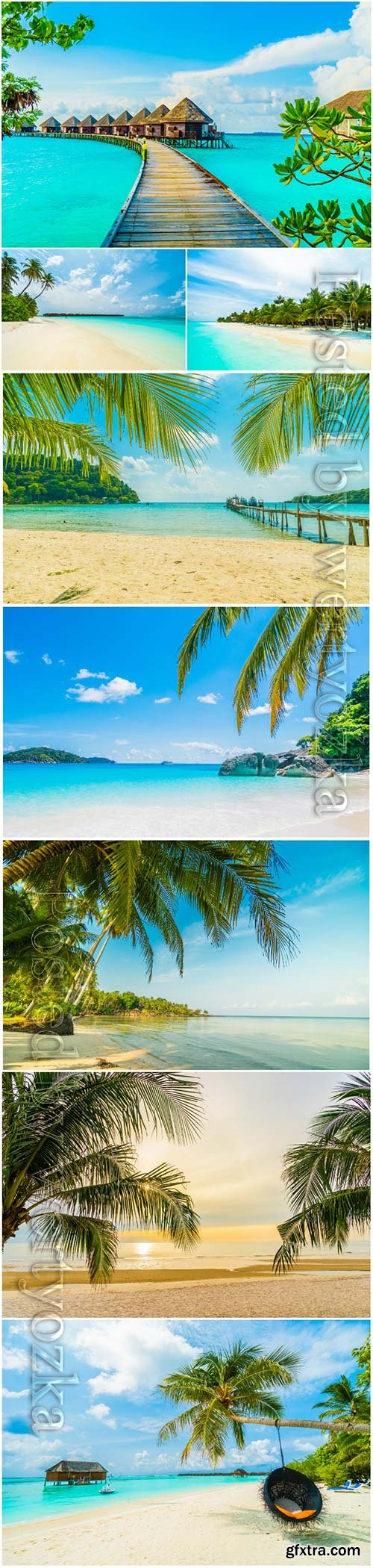 Beautiful tropical beach sea with  palm tree paradise island