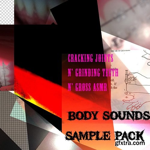 WeirdoOnTheBus System Body Sounds Sample Pack WAV