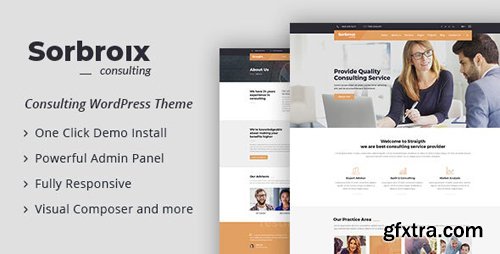 ThemeForest - Sorbroix v1.0 - Business Consulting WordPress Theme (Update: 28 August 20) - 21200725