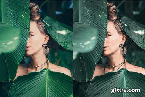 Tropical Rain Mobile & Desktop Presets | Summer ligthroom presets