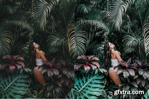 Tropical Rain Mobile & Desktop Presets | Summer ligthroom presets