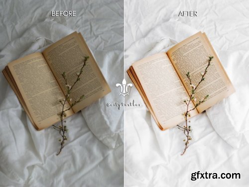 CreativeMarket - BRIGHT HOME Indoor Mobile Presets 4957852