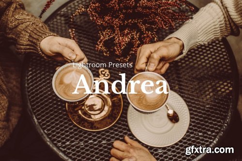 CreativeMarket - 10 Andrea Lightroom Presets 5205957