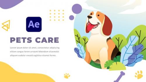 Videohive - Pets Care and Veterinarian | After Effects