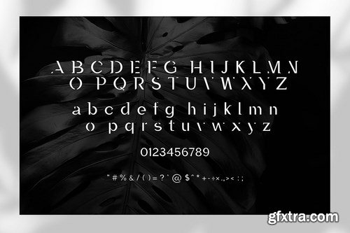 Laura - A Minimal Luxury Font