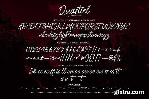 CM - Quartiel Brush Font 5163205