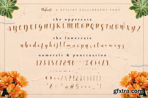 Highheat - Stylish Calligraphy Font