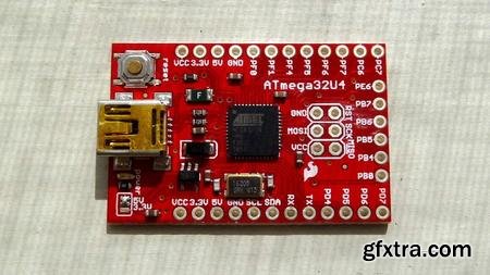 Crash Course on GPIO Microcontrollers