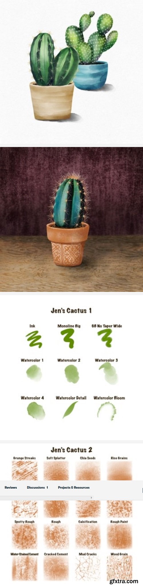 Painting Cactus in Pots using Procreate