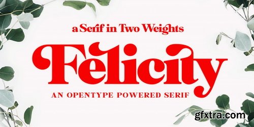 Felicity Font Family