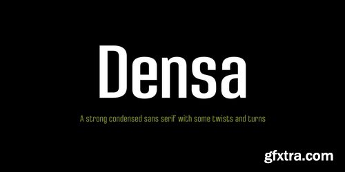 Densa Font Family