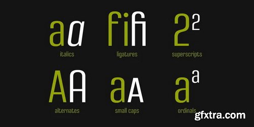 Densa Font Family