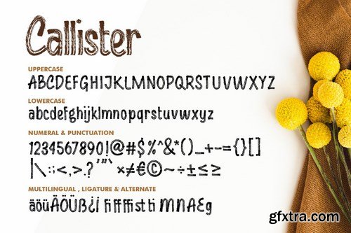 Callister