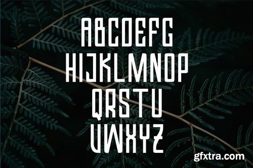 CM - Valkrye Modern Font 5341104